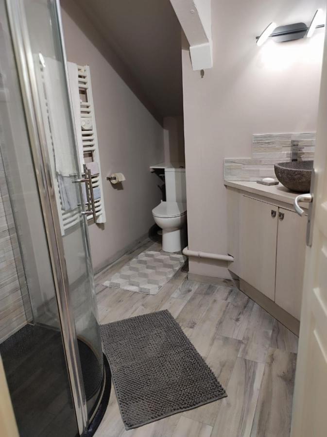 Location T2 Proche Annecy Apartment Meythet Luaran gambar